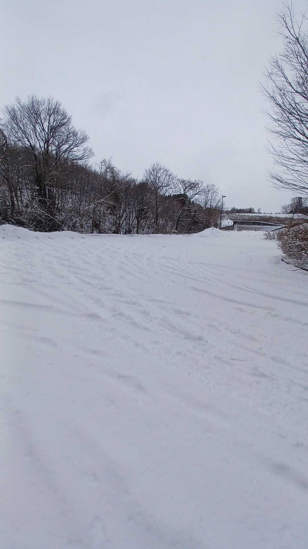 ただいま～……シ～ン…車１台もいません😅