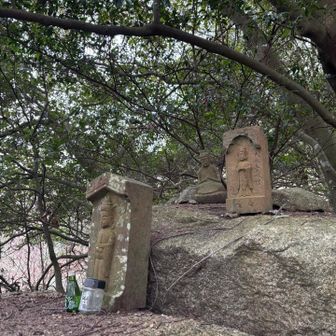 石仏発見

これから起こる壮絶な山歩きを予知したのか
普段の10倍の浄銭を納めます
無事に下山出来ますように🙏