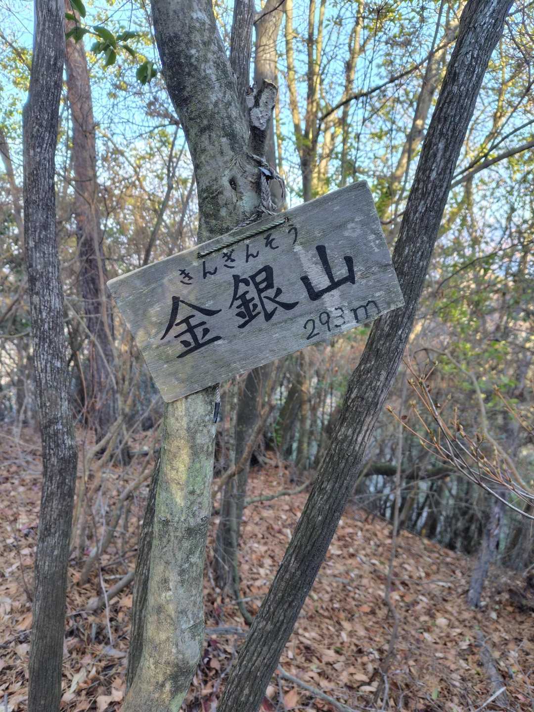到着です。🙏