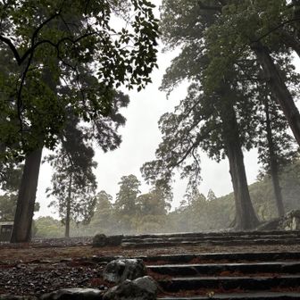 靄が幻想的です