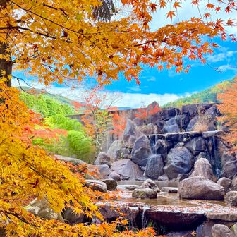 今日は昭和の森から入ります
昨日に引き続き血流を良くするためゆっくり歩きます🚶
紅葉がきれいでした🍁