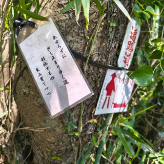 お遍路