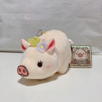 ケトハイカー輪太郎