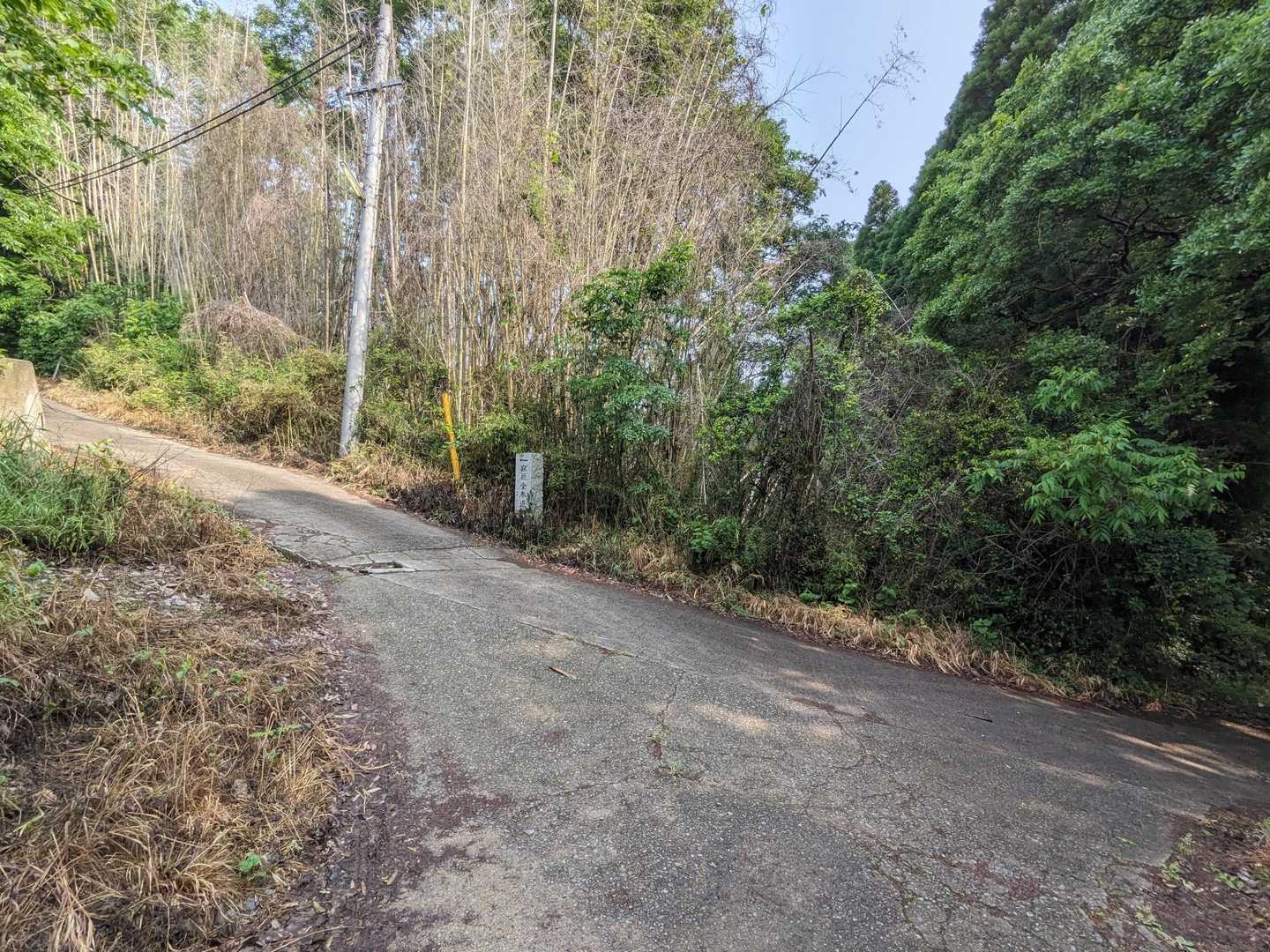 分岐
🪧↖寂厳堂参道

何となく山頂だから登るんだろうと
↖左に上がると