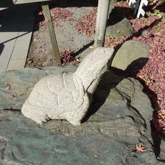 お参りします🐢🙏