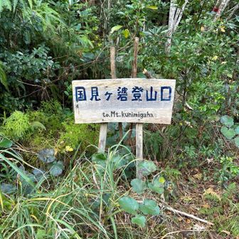 再び登山口。やはり山頂では…