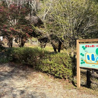 憩いの森にゴール