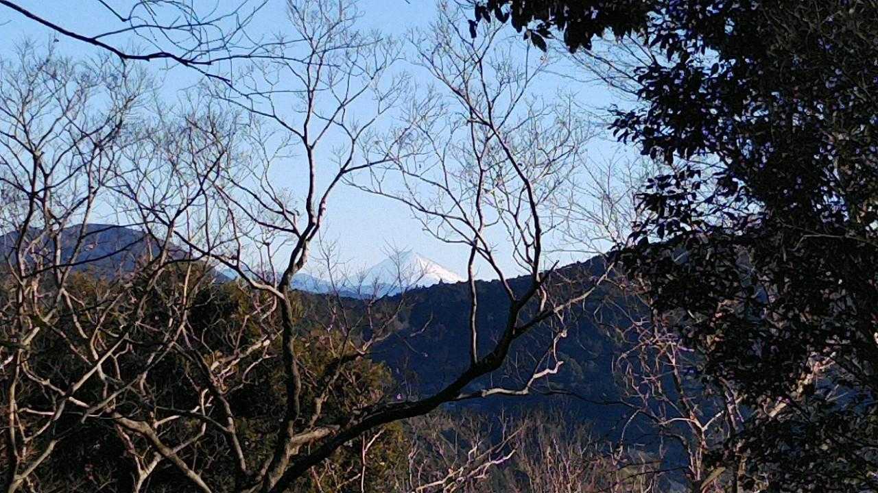 東側の木々の間に白く雪を纏った富士山🗻が綺麗に見えた！久しぶりにスッキリ見えた