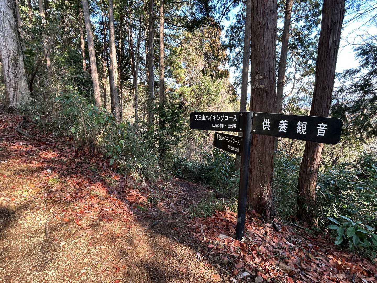 供養観音の先に雨乞山への分岐があります
ここから暫く下ります