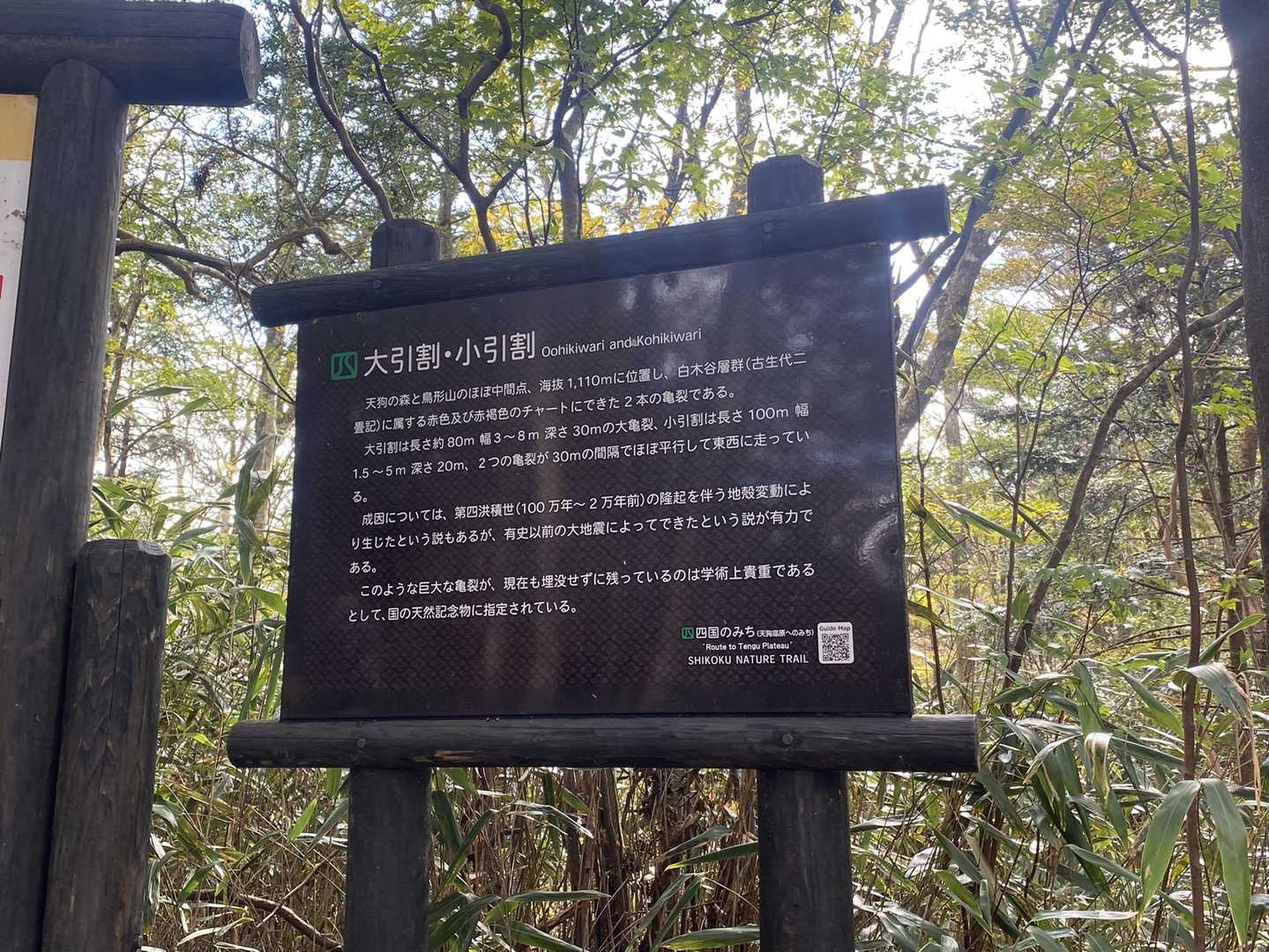 大引割は、↑↑↑  だそうです