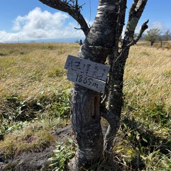 先ほど撮り忘れていた東峰❗️