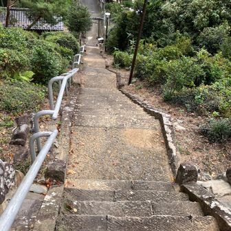 草花神社の階段結構怖いです😨
