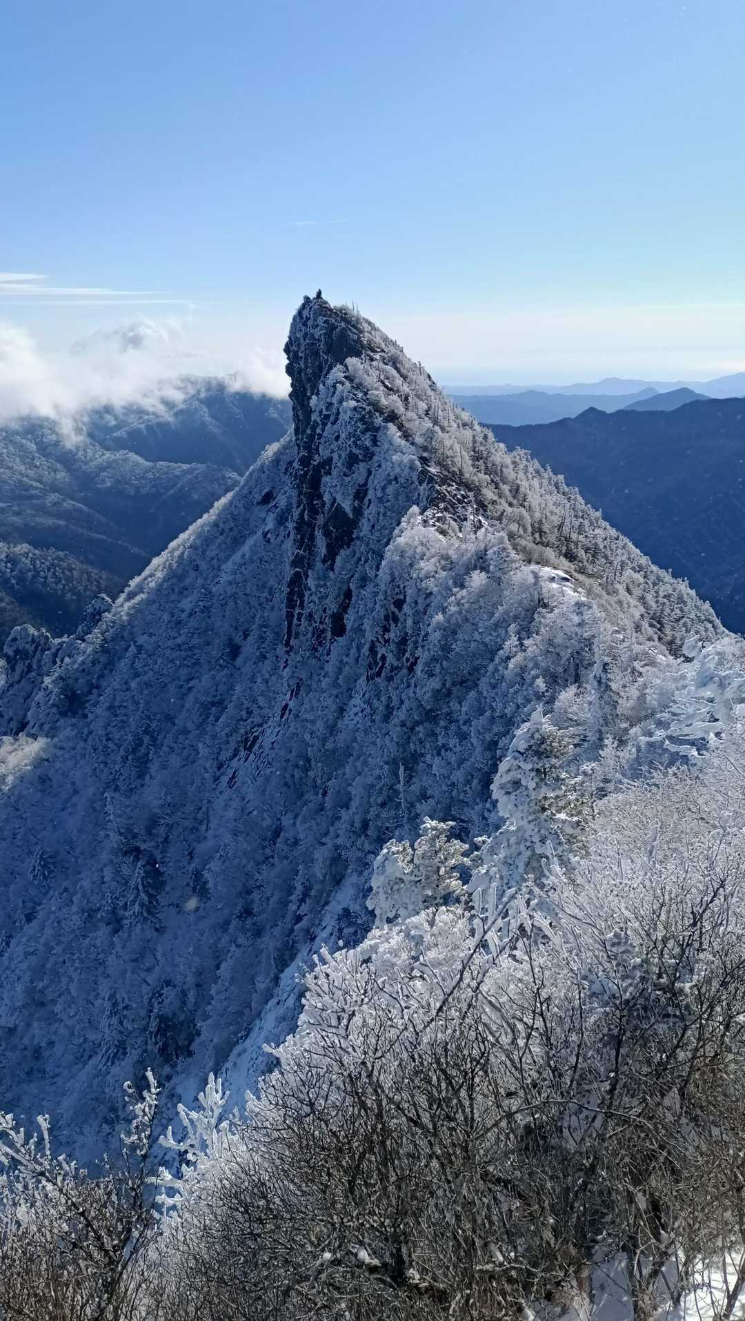 2026元旦登山 石鎚山🏔️👺❄✨ / 一本満足の登山データ | YAMAP