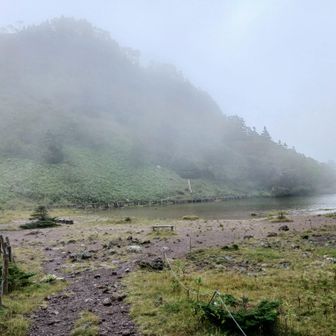 こちらも趣がありますが、五色沼を見たあとだと・・・