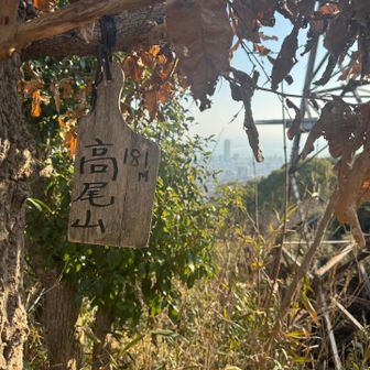 高尾山