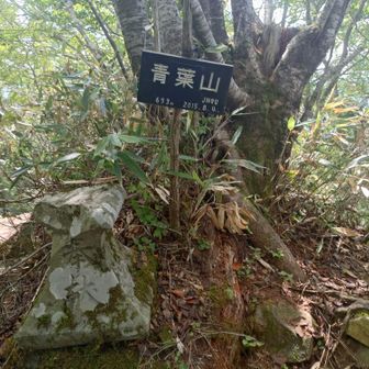 青葉山東峰山頂標識　神社の裏手にあります