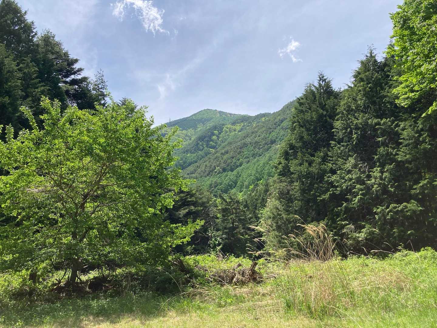 ふと、少し開けた場所に出ると、金松寺山が見えた