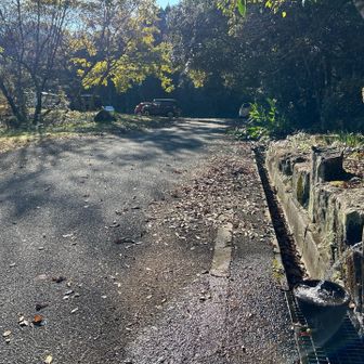 下山したら駐車場には車が沢山有り
やはり人気のお山です
登らせて頂き有難う御座いました🙏✨
山に感謝
お花に感謝です。。。
