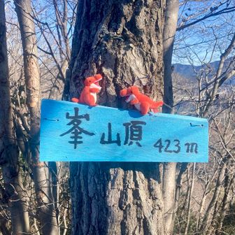 お友達からティラノサウルス🦖のプレゼント