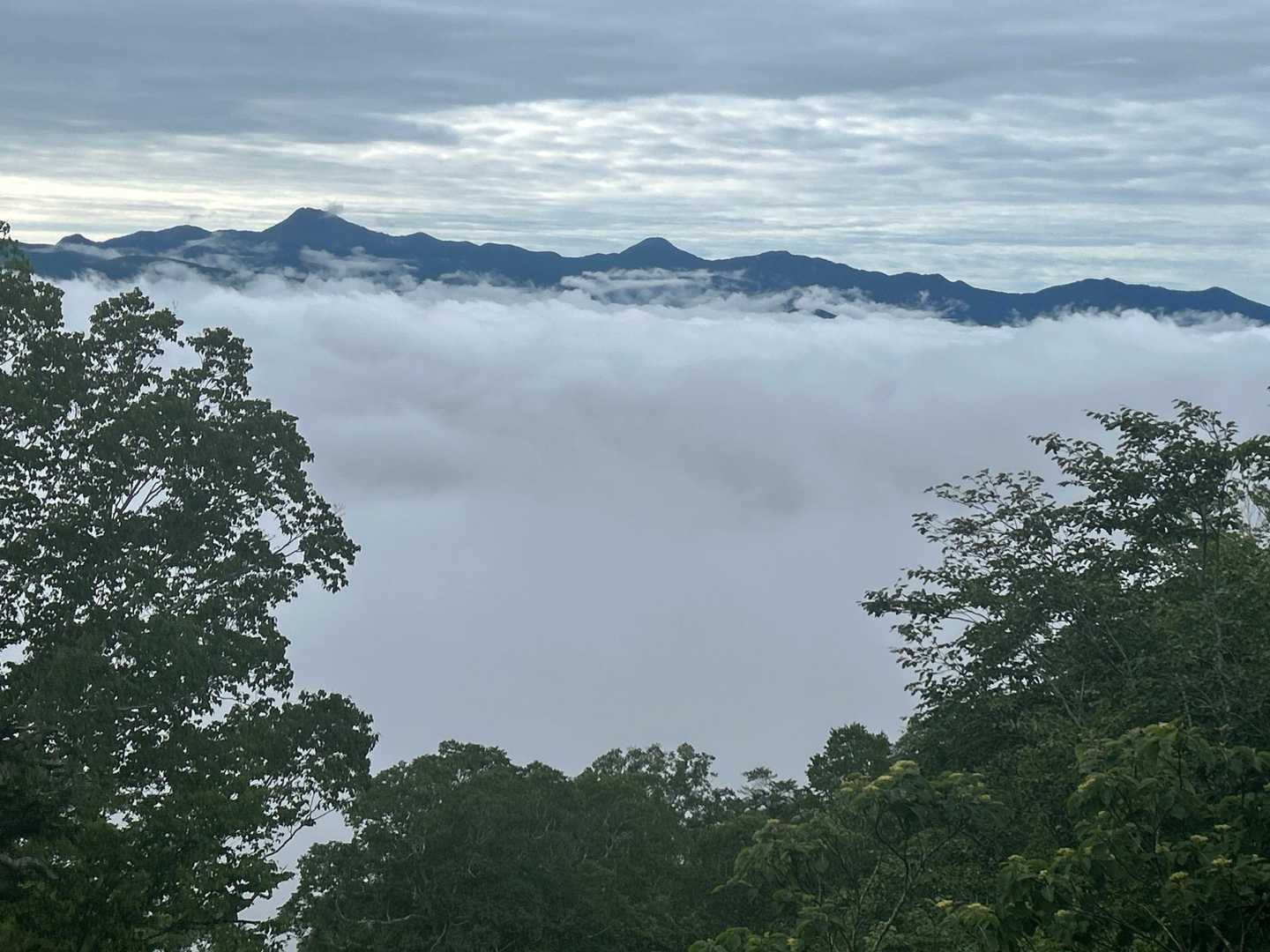 予報通りに曇り空☁️雲海がスゴイっす😲