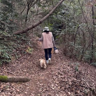 下山は民族の森を抜けます🪾