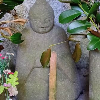 何方かな？