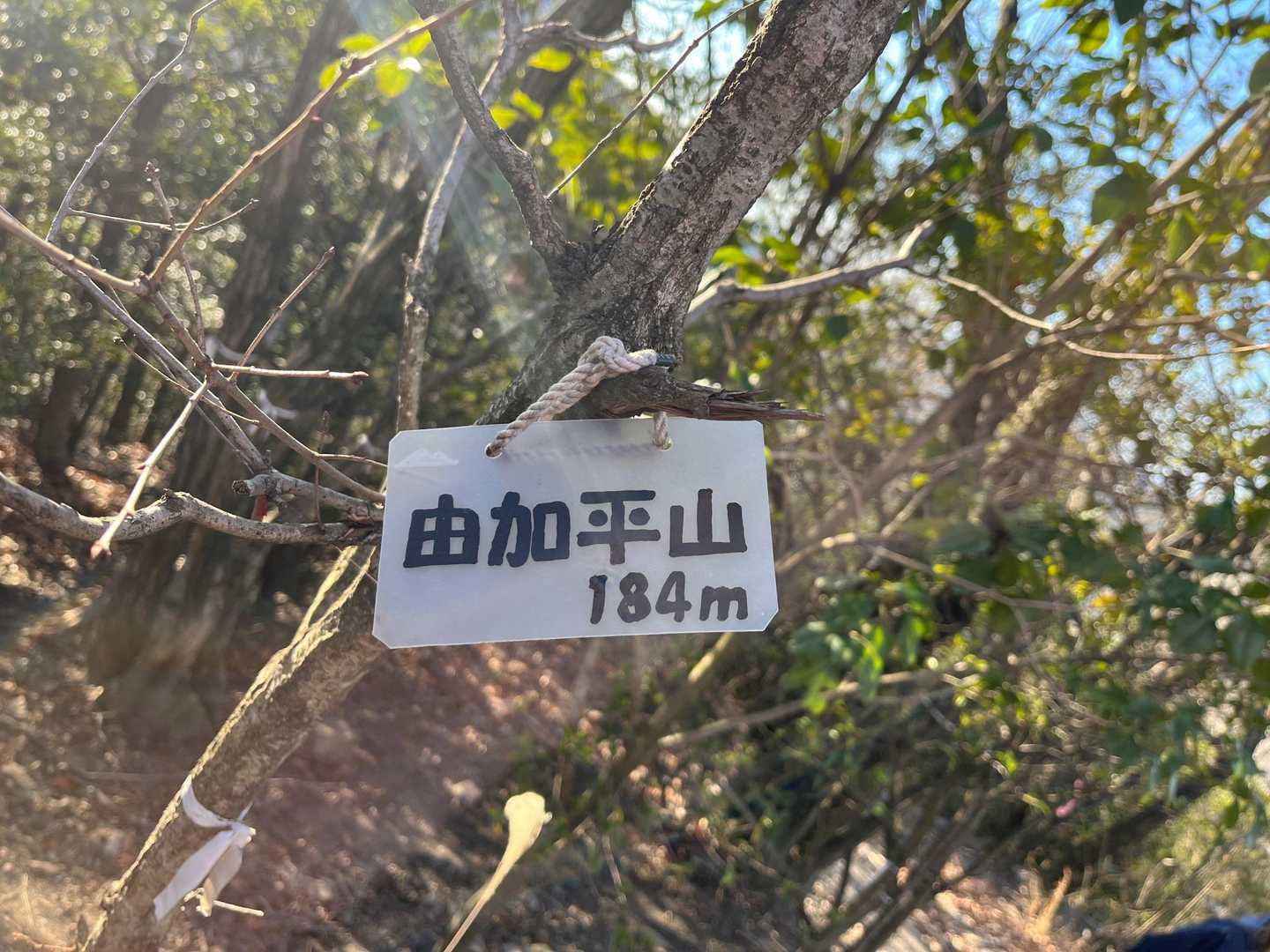 由加平山
