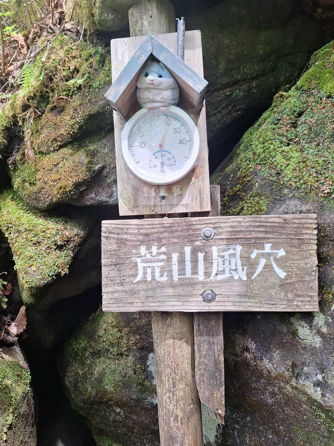 荒山高原登山口-荒山高原-荒山 周回コースの写真