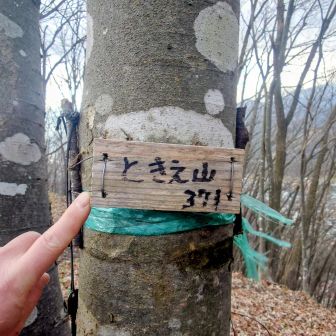 お次も直ぐトウチャコ👯😄
ときえ山（ときえやま）:371m
名板小さいですね👍️