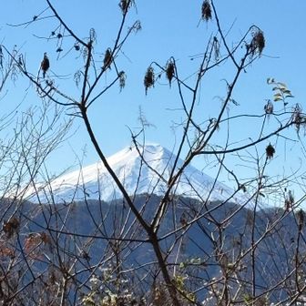 笹尾根は眺めが良い🗻
手前の枝がちょっと…