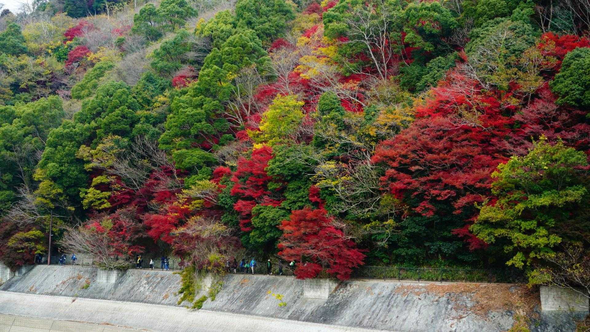 JR元町駅-再度越-新神戸駅 コースの写真