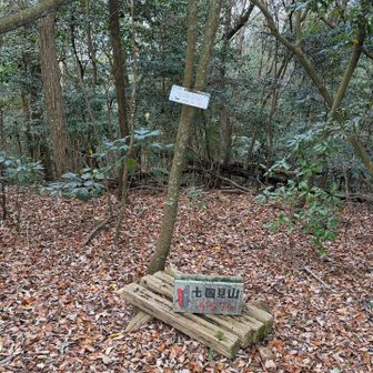 山頂は木々に囲まれ、隣に組み立てられた展望台から少し展望が得られる