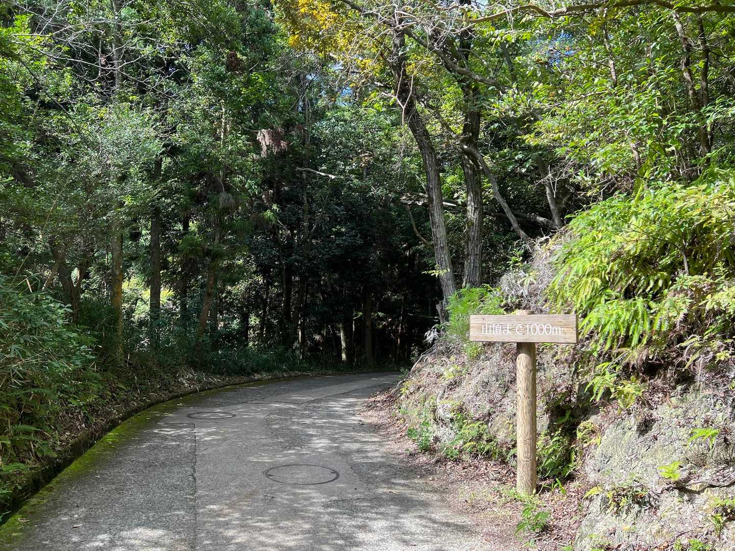 ここから、200ｍごとに山頂までの距離が表示されています😊