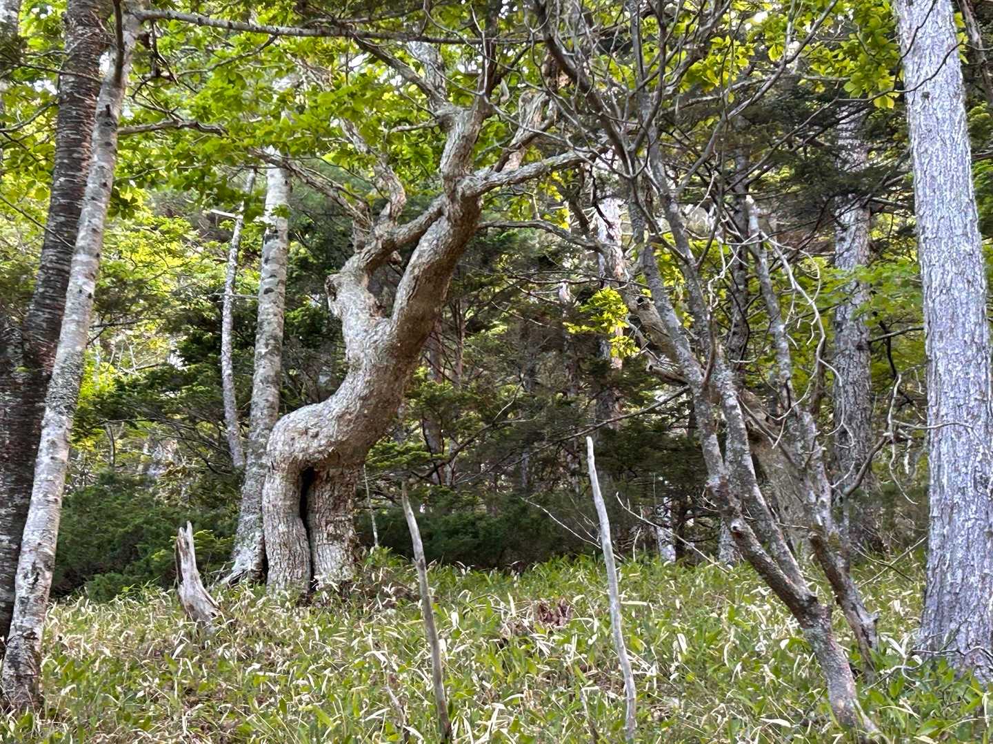 これは妙にセクシー🤩