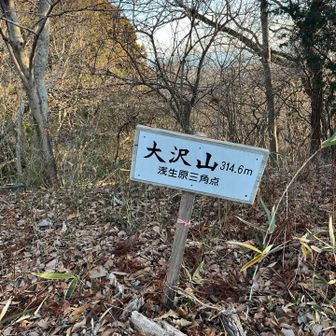 ここから先…棘薮…無謀に突っ込むとヤバいです