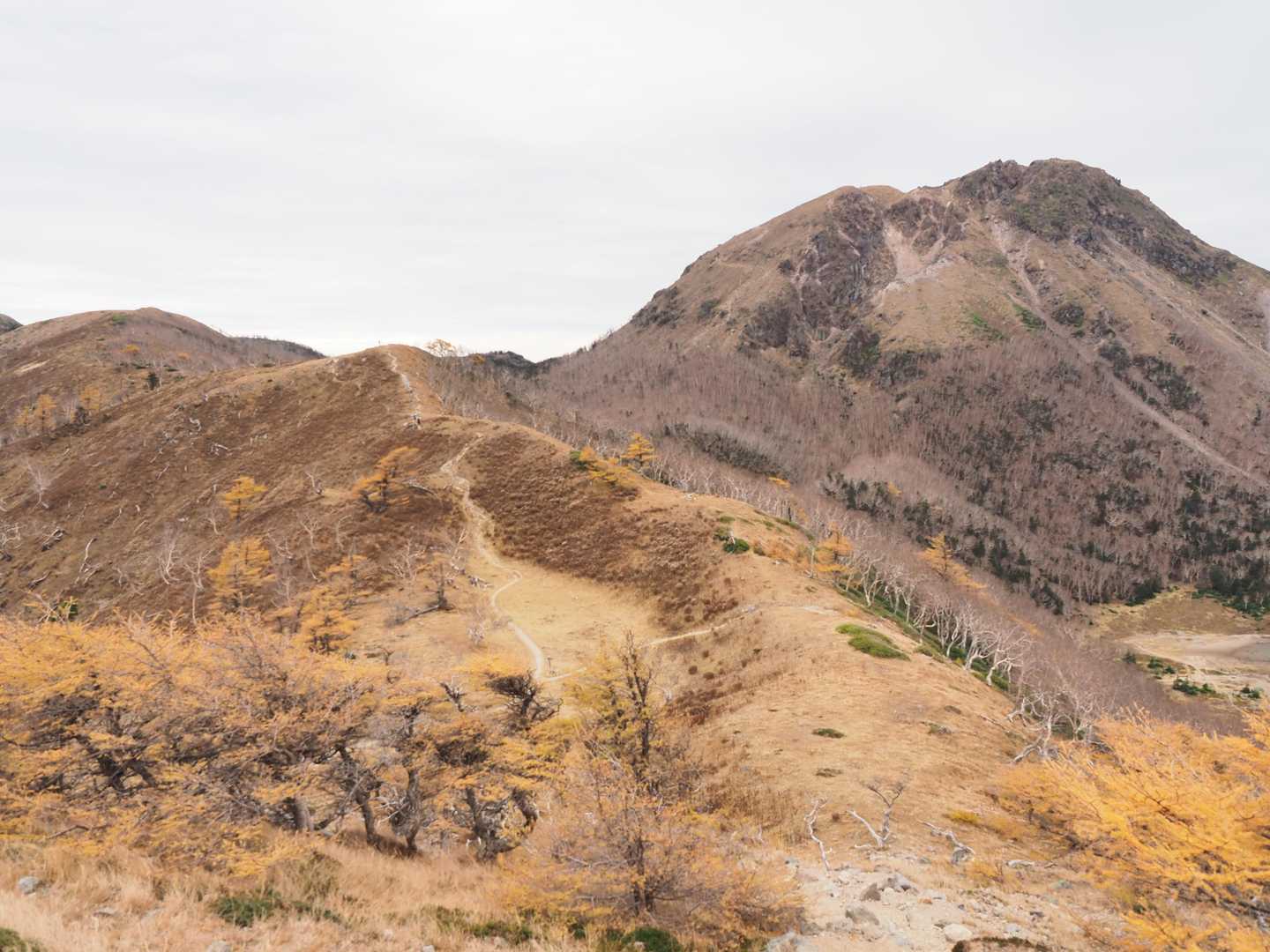 この赤茶けた稜線を見ていると中倉山から沢入山を目指している時の事を思い出した⛰