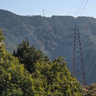 分さんの案内で展望のよい場所へ移動してランチタイム
鉄塔先に見えてるピークは沓平山(くつひら)
YAMAPには載ってない地元の山です