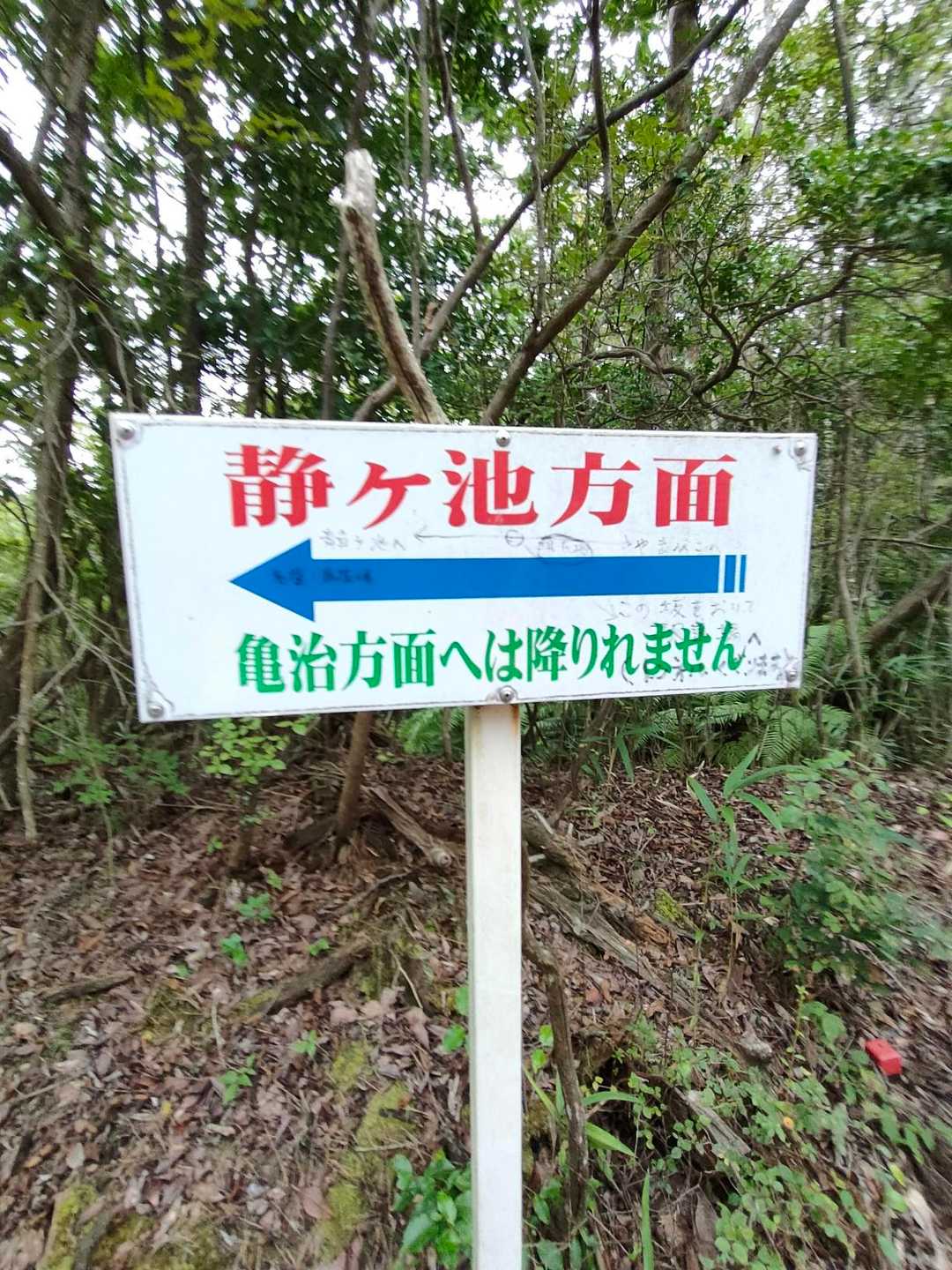 賤が池に向かいます。