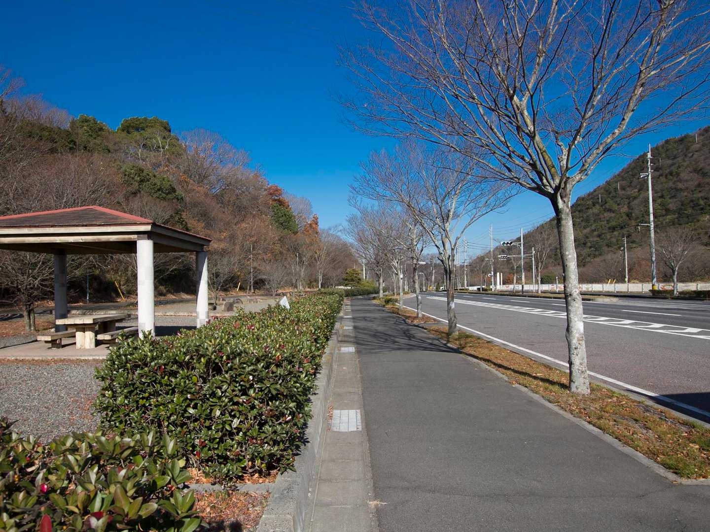 神社に駐車場はあるようですが、初詣客のお邪魔にならぬよう車はこちらに駐めて。