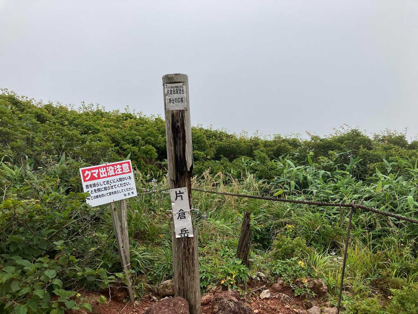 新道コース-男女岳コース-シャクナゲコース 周回コースの写真
