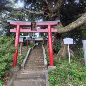 八坂神社が次のピークでした🙏