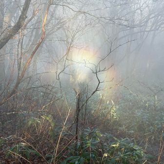 なんとブロッケン😯
気象条件が揃うと見れるんですねぇ～Lucky👍️