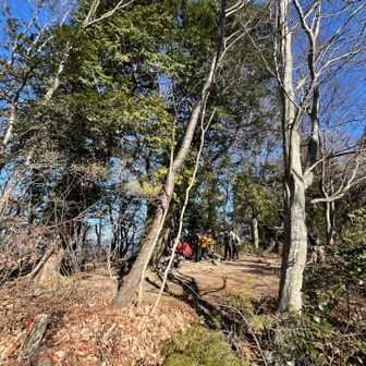 二上山も賑わってました