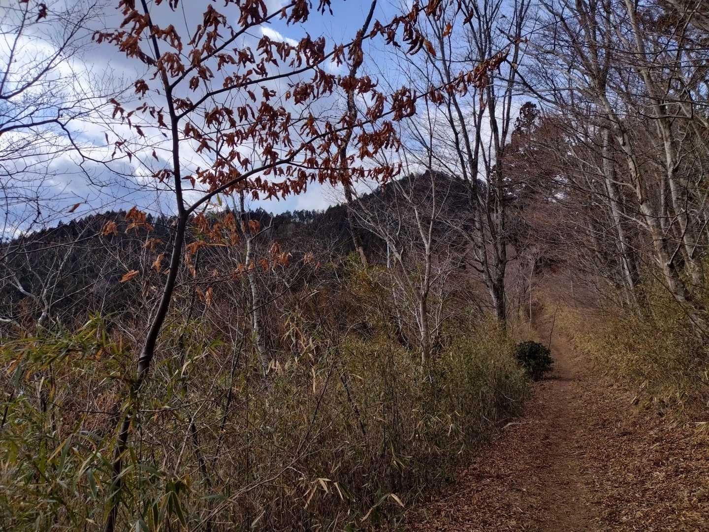 明神山 往復コースの写真