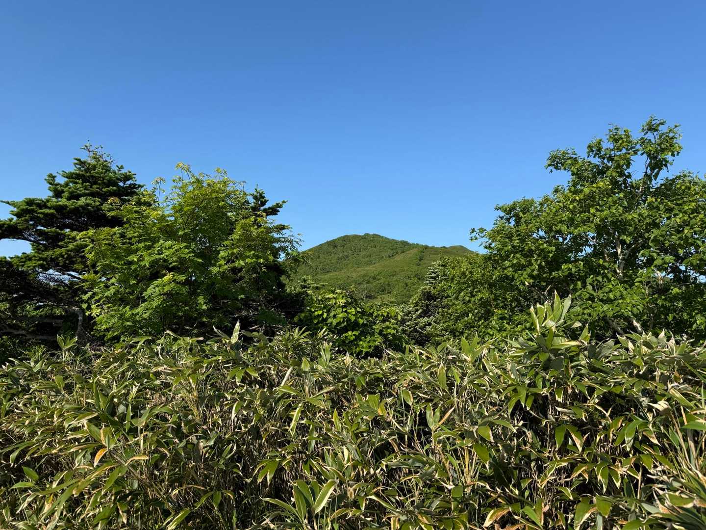 ようやく景色が見えるように。
