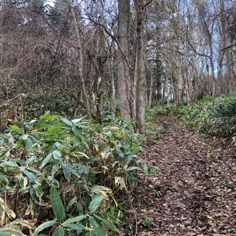 初めまして🙇‍♀️

ちょっと眠いよー🥱