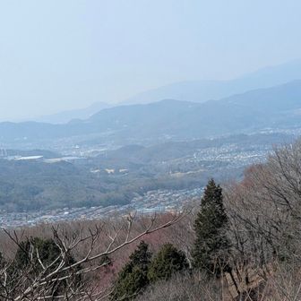 妙見山付近から