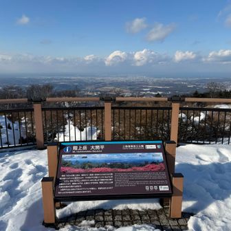 春はツツジ綺麗に咲いてるのかな？