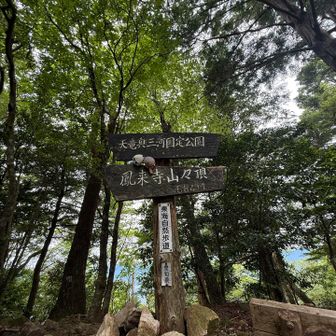 鳳来寺山、登頂しましたー🙌
　だーれもいないし、展望もなし