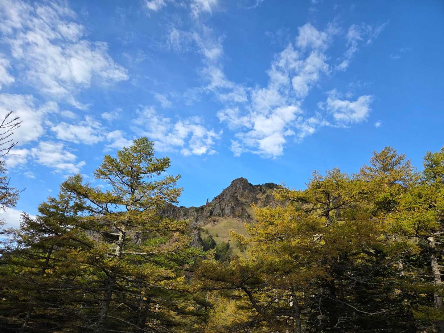 浅間山荘登山口-浅間神社-賽の河原-Jバンド-鋸岳-蛇骨岳 往復コースの写真